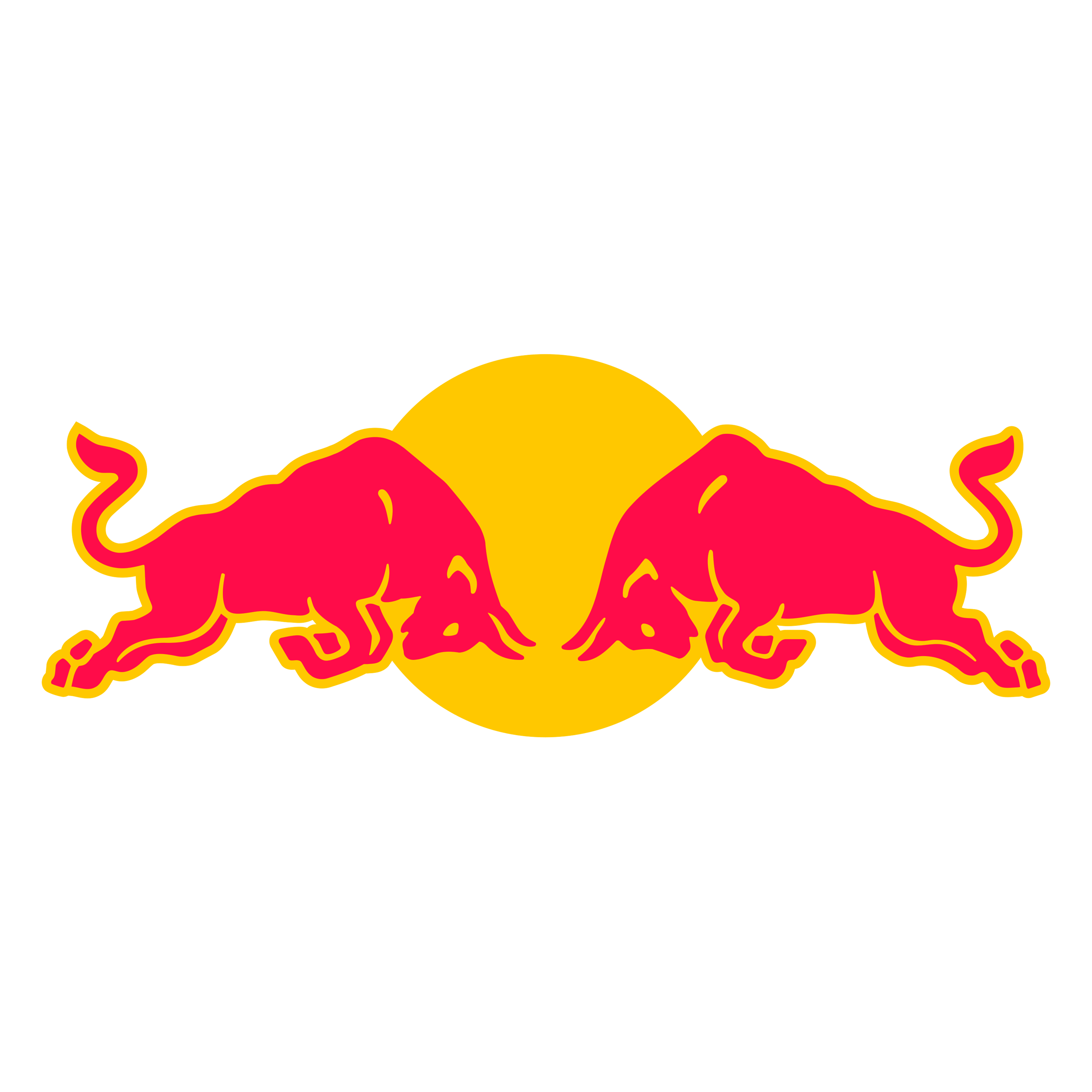 Red Bull Racing